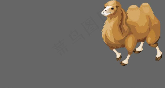 沙漠动物骆驼骨骼动画