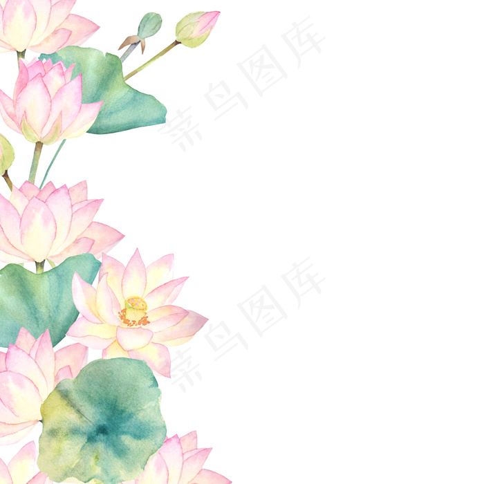 中国风国画荷花素材