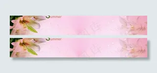 粉色背景 花朵背景图片