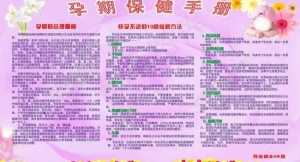 孕期保健手册图片