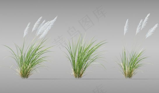草模型图片