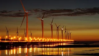 *高美湿地风景图片