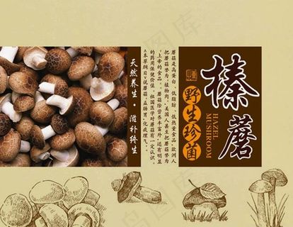 野生珍菌榛蘑菇食品包装设计模板