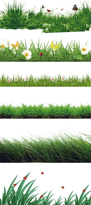 草丛花朵免抠png图片psd元素设...