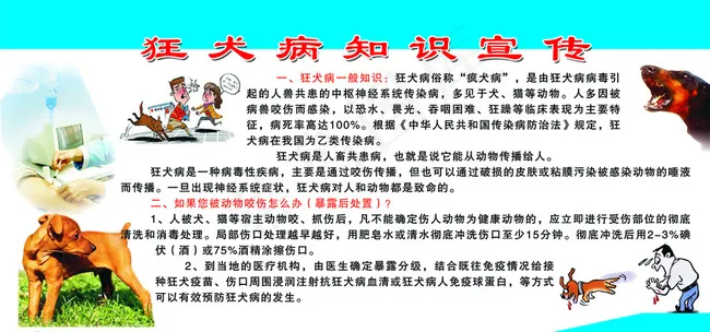 狂犬病知识宣传图片psd模版下载