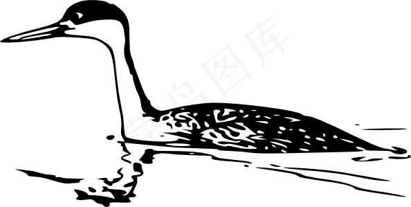 西方鸊鷉剪贴画