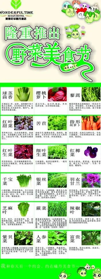 野菜美食节易拉宝图片cdr矢量模版下载