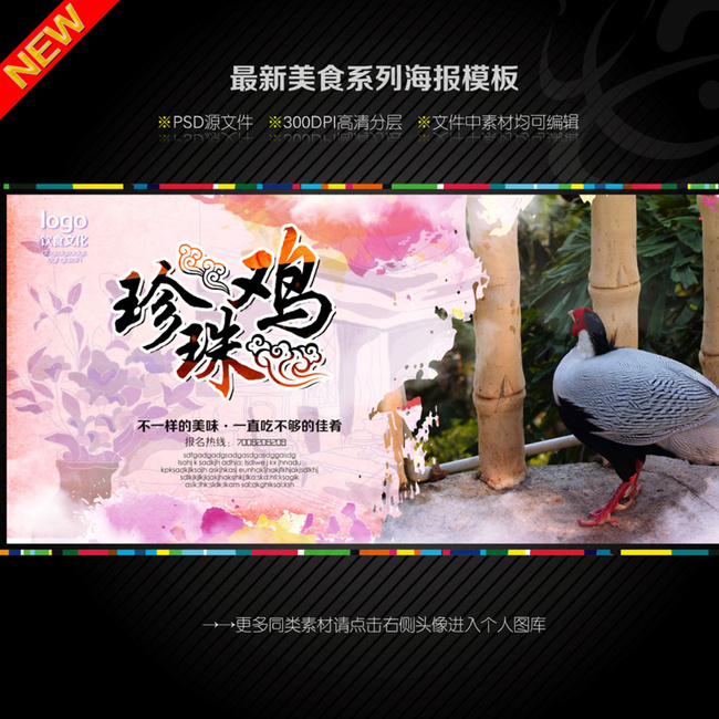 珍珠鸡图片(4724X4724(DPI:300))psd模版下载