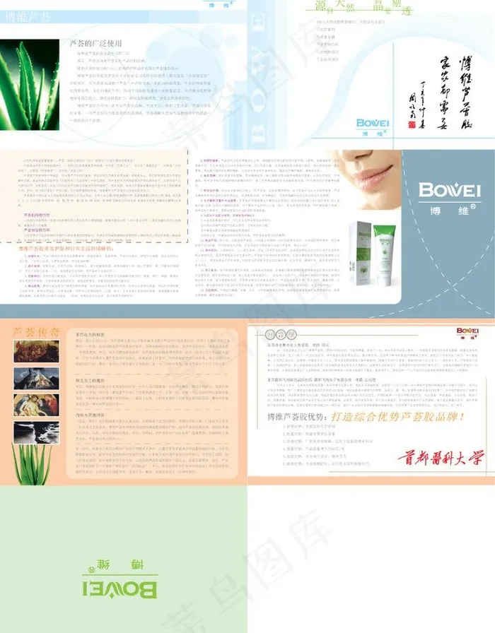 博维芦荟折页图片ai矢量模版下载