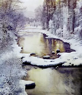 森中雪油画风景 森中雪油画风景