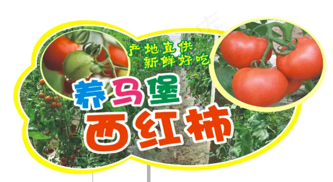 异型蔬菜cdr矢量模版下载