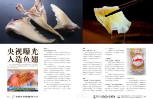 央视曝光人造鱼翅 杂志内页图片