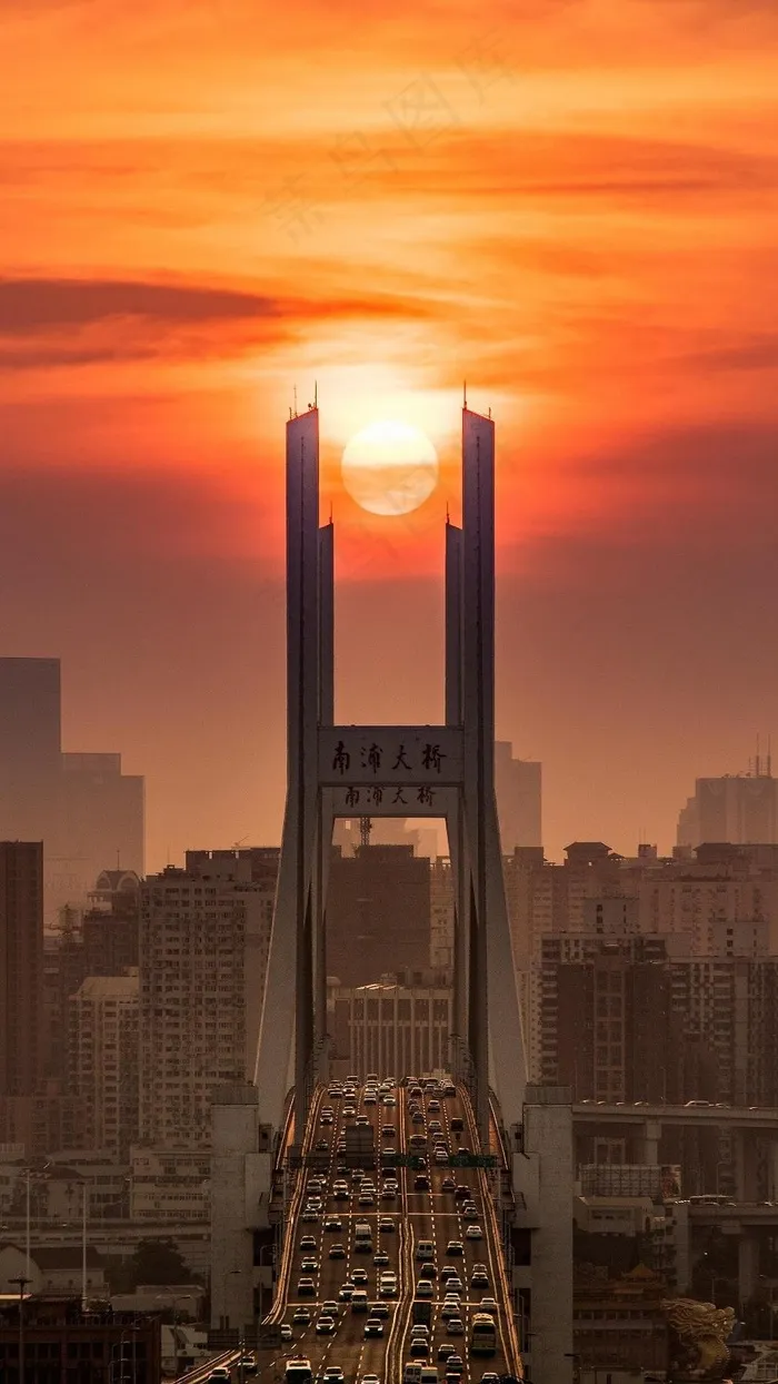 夕阳下的南浦大桥高清摄影图片