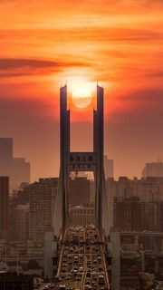 夕阳下的南浦大桥高清摄影图片