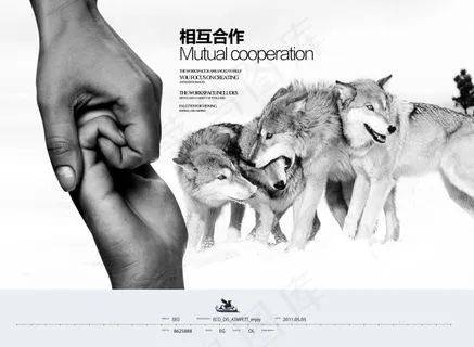 企业文化展板设计组织合作