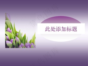紫色郁金香PPT模板预览图