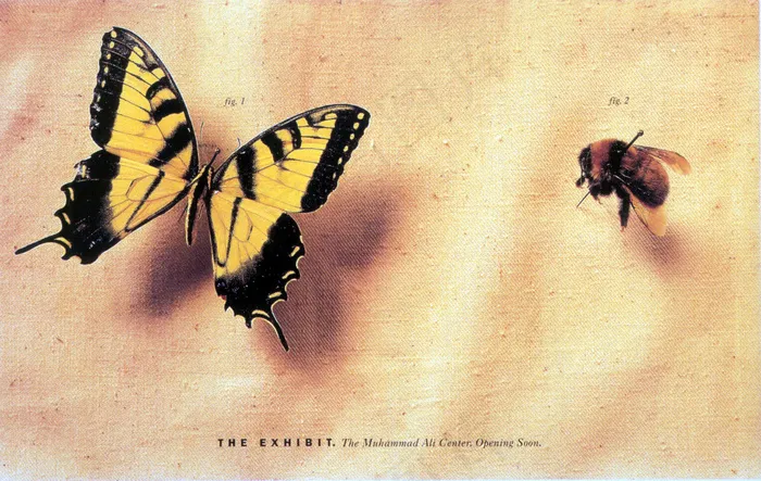 香水化妆品_0009