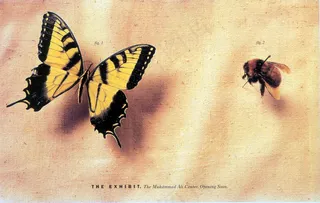 香水化妆品_0009