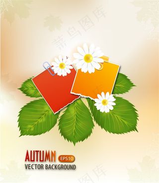 用破纸板向量的叶子