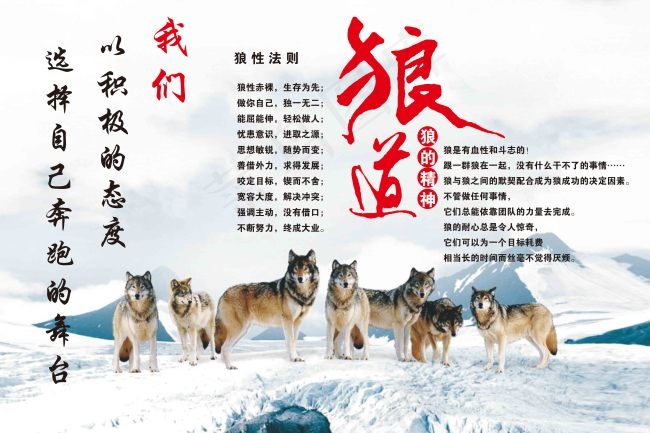 企业精神 宣传口号