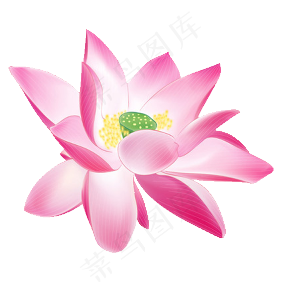 中国风荷叶荷花png免扣素材图片(567X567)