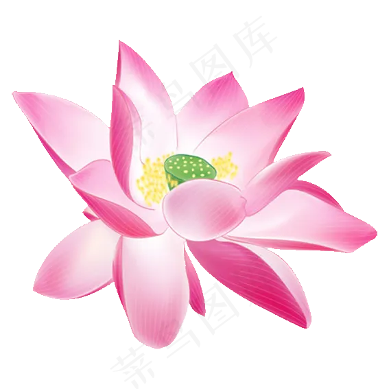 中国风荷叶荷花png免扣素材图片(567X567)