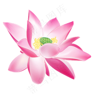 中国风荷叶荷花png免扣素材图片