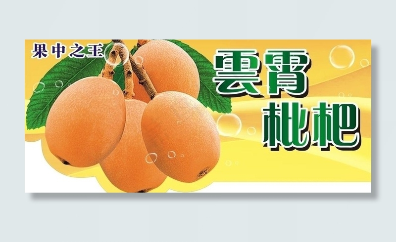 云霄枇杷图片