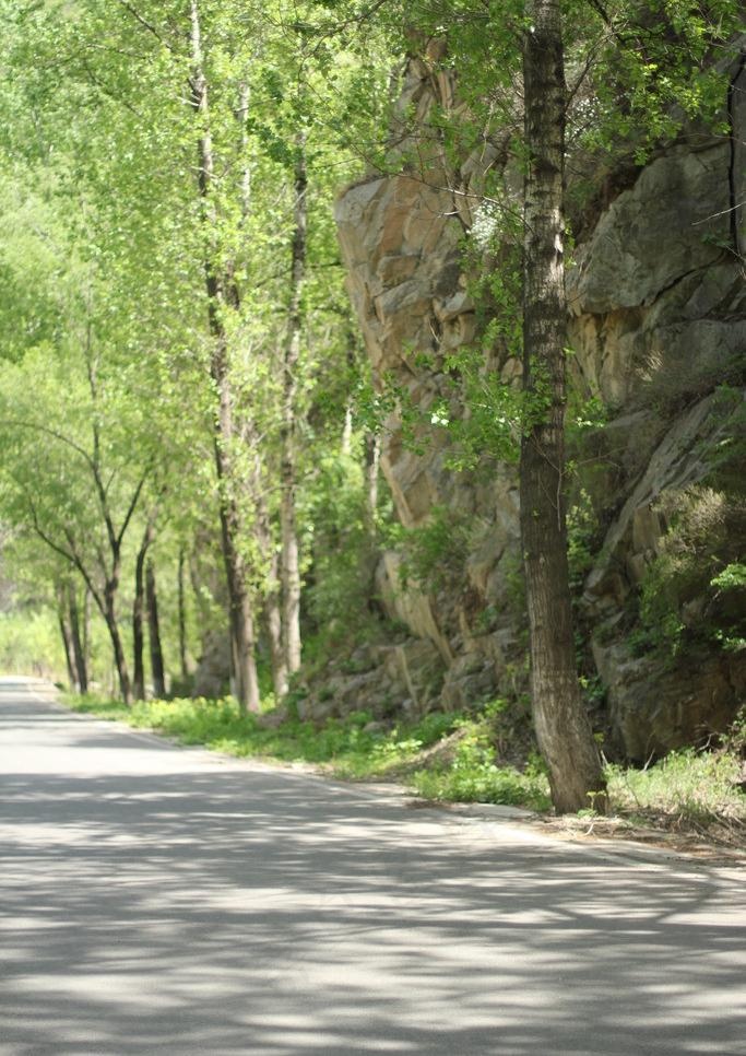 春天山路图片