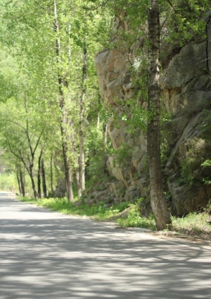 春天山路图片