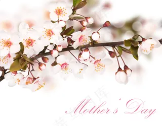 母亲节贺卡图片