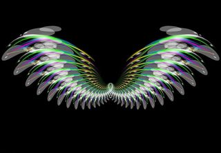 炫丽飞翔的翅膀图片
