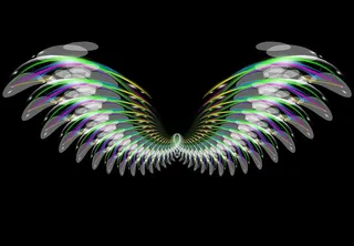 炫丽飞翔的翅膀图片