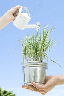 浇草的美女图片