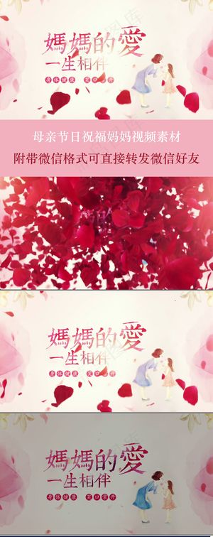母亲节片头妈妈的爱一生相伴浪漫玫瑰...