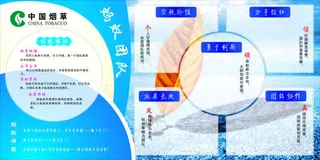 中国烟草蚂蚁团队