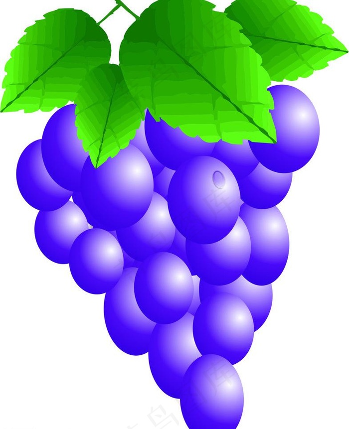 葡萄图片
