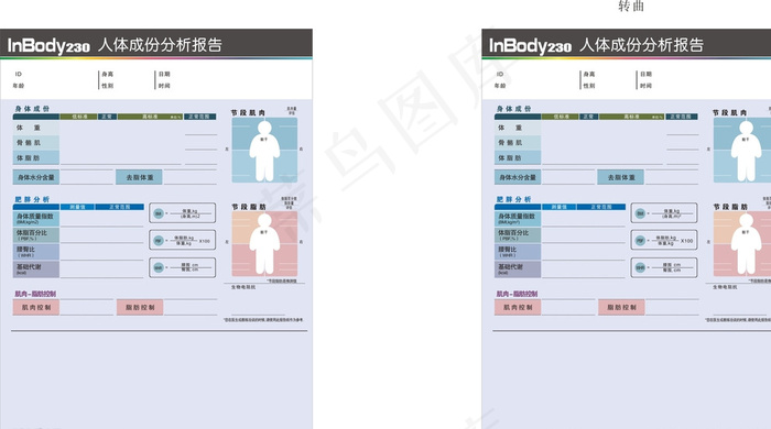 人体成份分析报告质量人体质量图片cdr矢量模版下载