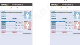 人体成份分析报告质量人体质量图片