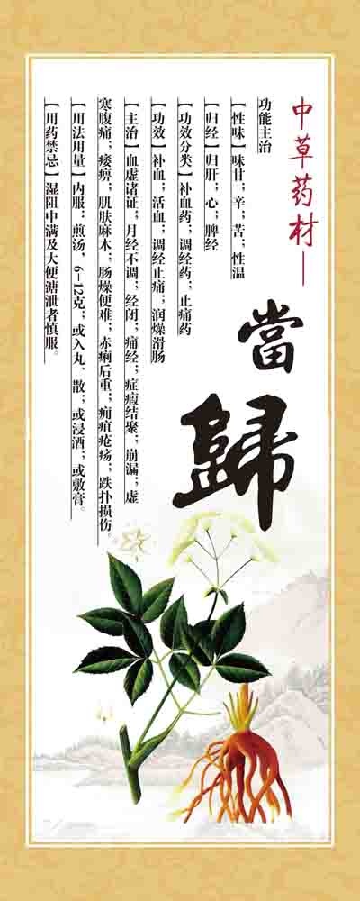 中药材草药当归展板医院展板设计ps...