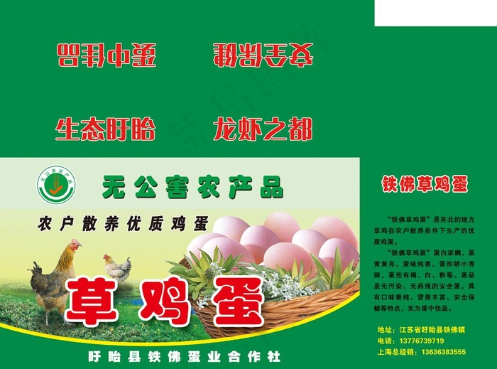 草鸡蛋包装图片(4488X3579(DPI:300))psd模版下载