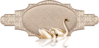 免抠png图片ps素材天鹅