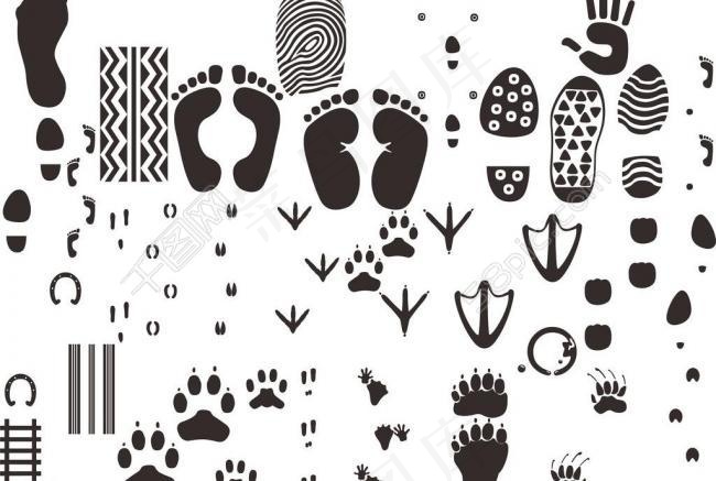 脚印大全图片