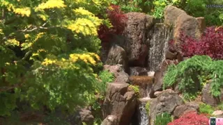 春天瀑布鲜花视频素材素材下载