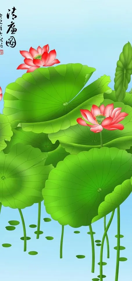工笔荷花 荷花图片