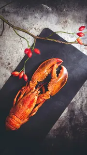 大龙虾高清摄影图片