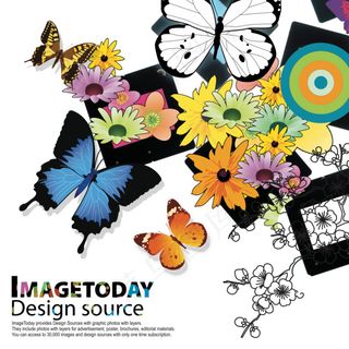 精美蝴蝶背景素材