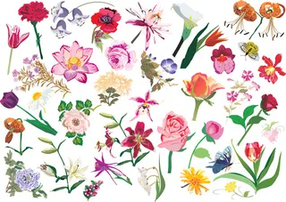 鲜花花纹矢量素材2