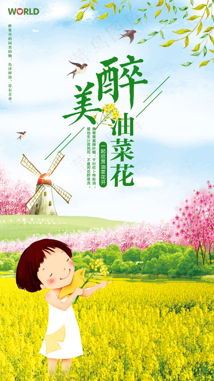 卡通清新油菜花创意手机海报