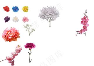 花类素材